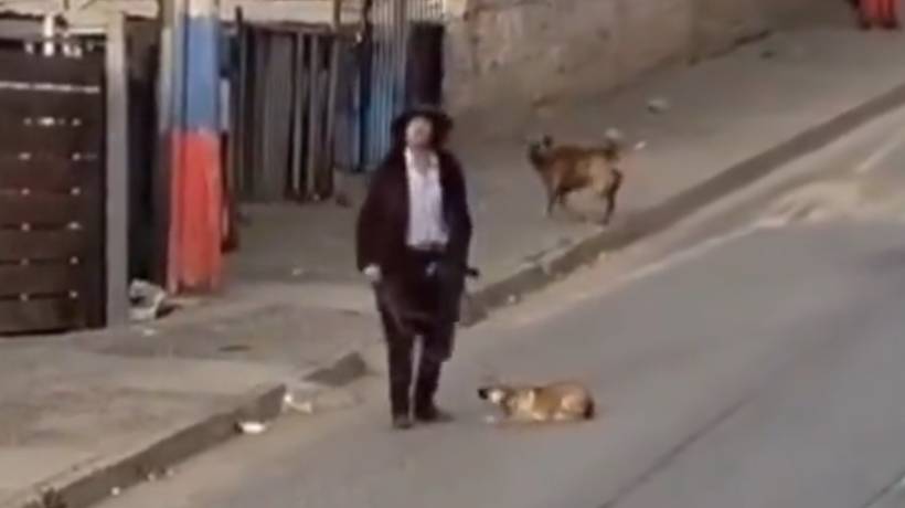 [VIDEO] Denuncian caso de maltrato animal en Forestal Alto: hombre arrastró a cachorro por la calle