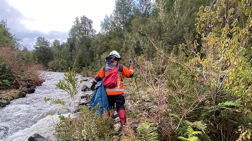 Pausaron búsqueda de adulta mayor extraviada en el sector Lago Chapo de Puerto Montt Pausaron búsqueda de adulta mayor extraviada en el sector Lago Chapo de Puerto Montt