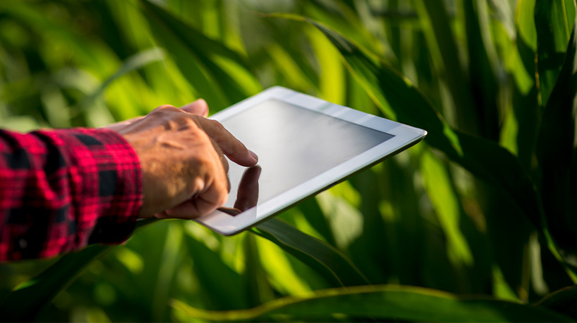 La inteligencia artificial se consolida en Chile con impacto en educación, salud y agroindustria