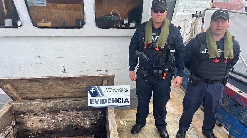 Incautan 8 toneladas de reineta en Quemchi