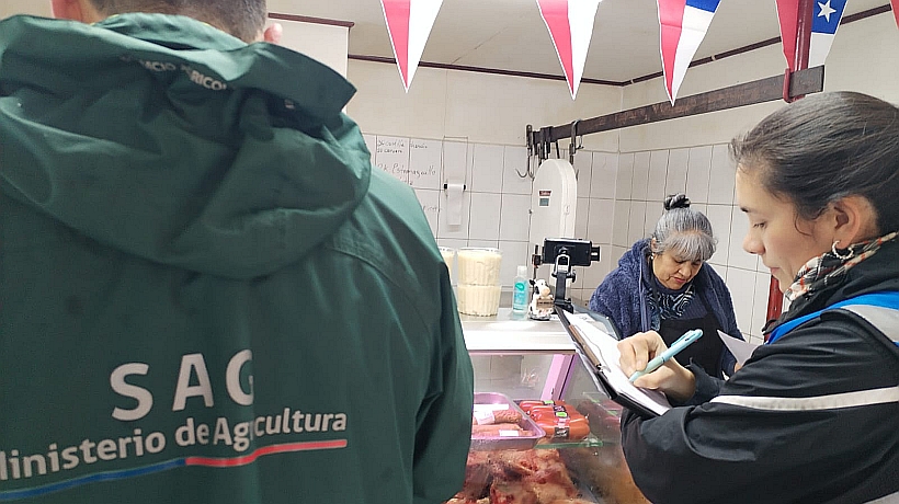 Balance de Fiestas Patrias del SAG Los Lagos: retuvieron 500 litros de vino pipeño