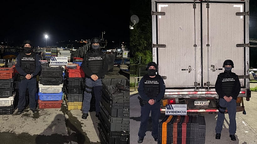 Policía Marítima incautó en Calbuco 2.800 kilos de reineta ilegal