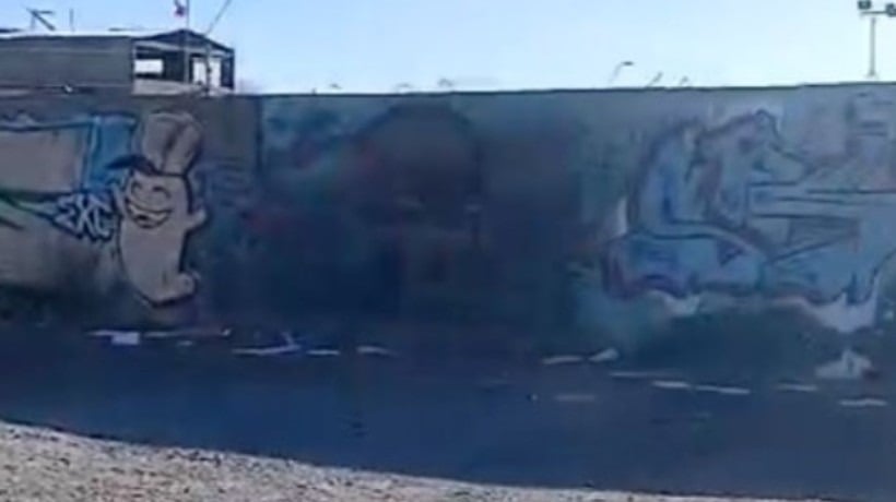 Municipio de Calama anuncia acción legal tras hallazgo de perros calcinados en Nueva Alemania