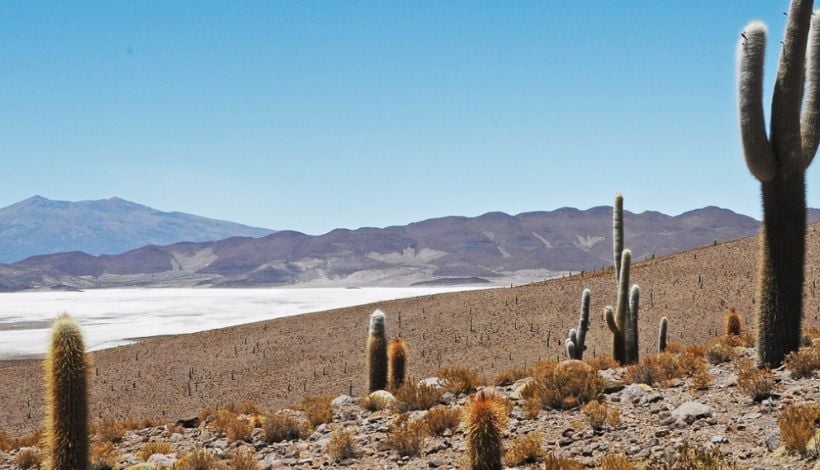 Cumbre 3T reunirá a expertos para impulsar turismo sostenible en Tarapacá