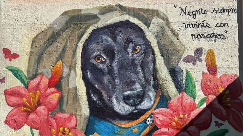 “Siempre vivirás con nosotros”: el emotivo mural en Quilpué para recordar a perrito comunitario asesinado