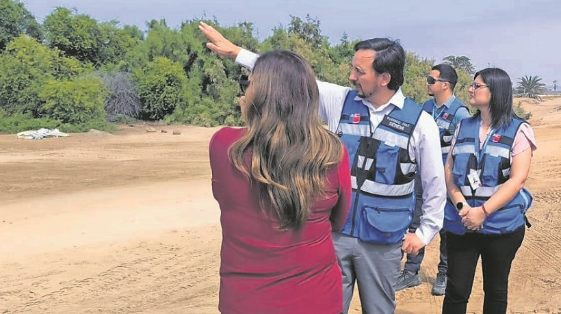 Bienes Nacionales evalúa terrenos para la instalación de cementerio de mascotas en Arica