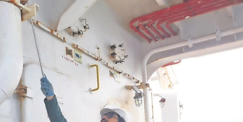 SAG detecta peligrosas plagas forestales en barcos cargueros arribados a Atacama