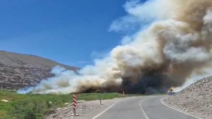 Incendio afectó pastizales en poblado de Quillaguasa al interior de Tarapacá