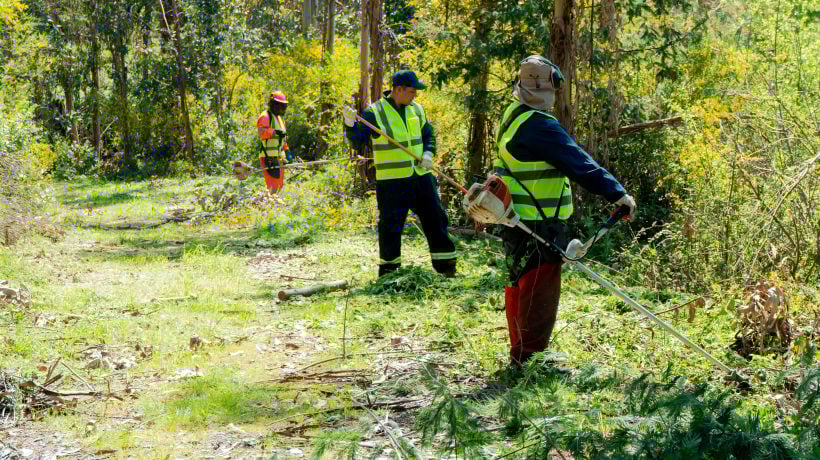 Concepción lanza campaña de prevención de incendios forestal: instancia incluye plan integral
