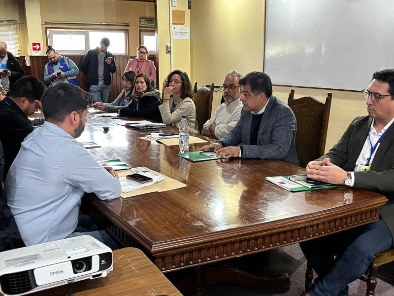 Comisión Ambiental de Los Ríos aprobó proyecto Parque Eólico Ovejera Sur