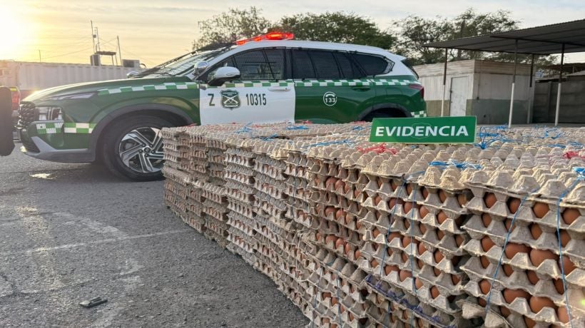 Decomisan más de 35 mil huevos de contrabando al interior de Tarapacá: conductor fue detenido Decomisan más de 35 mil huevos de contrabando al interior de Tarapacá: conductor fue detenido