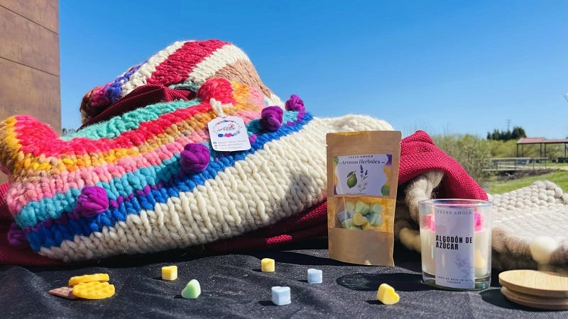 ExpoFOSIS 2025 llega este fin de semana al Parque Saval de Valdivia