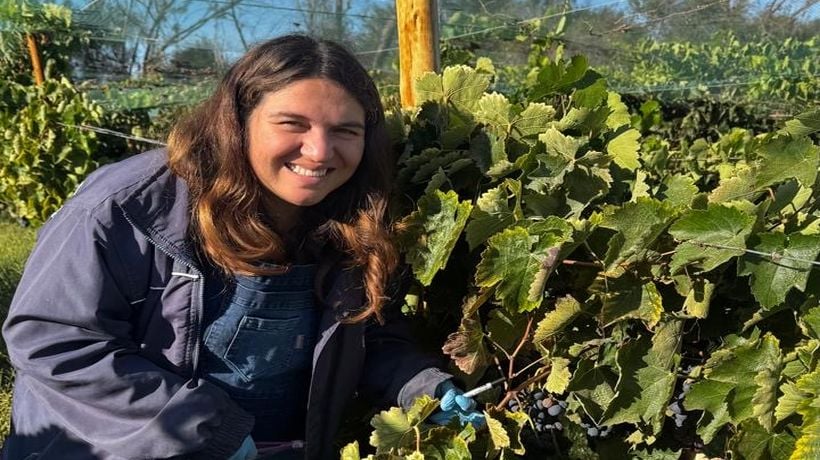 Científica iquiqueña investiga levaduras del desierto para crear vinos