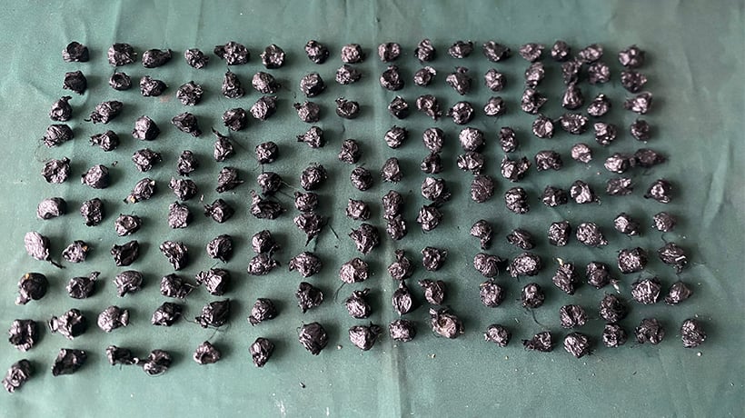 Rondan preventivas han permitido incautar serie de &quot;pelotazos&quot; a la cárcel de Valparaíso