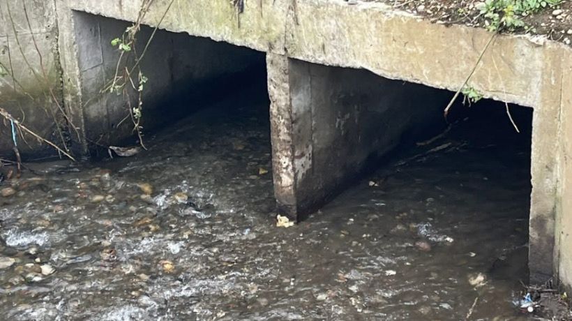 Realizan limpieza de cauce en Miramar para reducir riesgos de desbordes ante lluvias