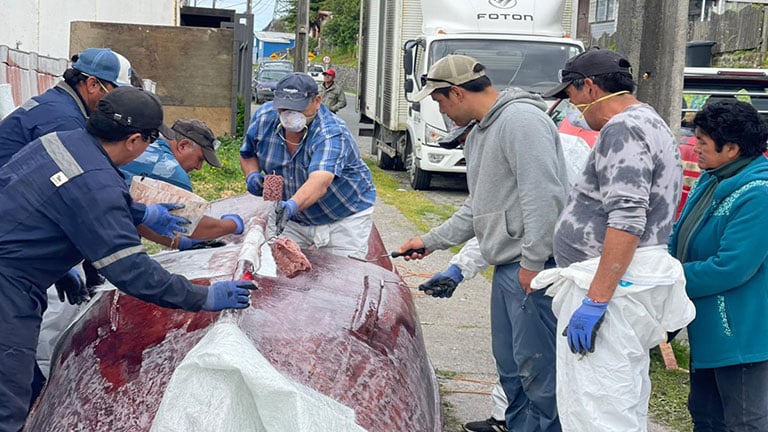 Gobierno abre postulación para cursos gratuitos de pescadores artesanales en la Región de Valparaíso y Bío Bío