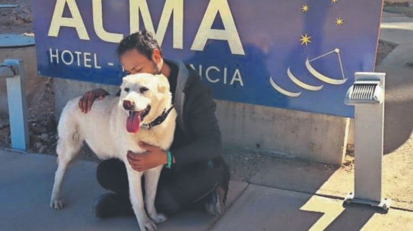 Murió “Almito”, el perro del Observatorio Alma: &quot;Era nuestro guardián de las estrellas&quot;