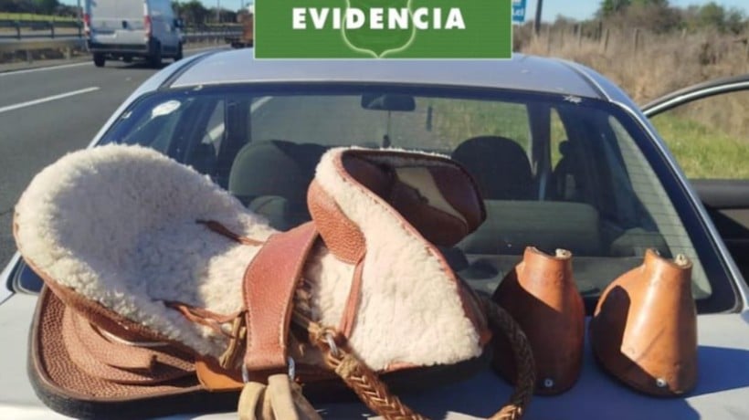 Detienen a sujetos que robaron montura en Bulnes