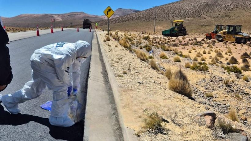 Hombre encontrado en Colchane murió tras ser atropellado