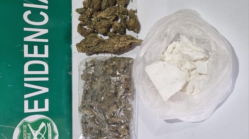 Detuvieron a un chileno y a un extranjero portando drogas en viaje en bus a Hualaihué