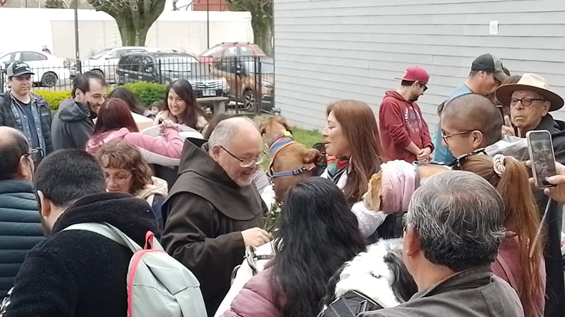 Invitan a ceremonia de bendición de mascotas en Osorno por el Día Mundial de los Animales Invitan a ceremonia de bendición de mascotas en Osorno por el Día Mundial de los Animales