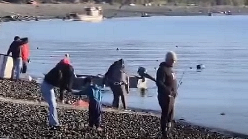 Alcalde de Calbuco advirtió riesgo sanitario por escape de salmones en San Antonio