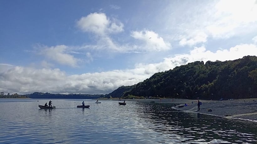 Escape de salmones en Calbuco fue de 42.618 ejemplares desde dos jaulas