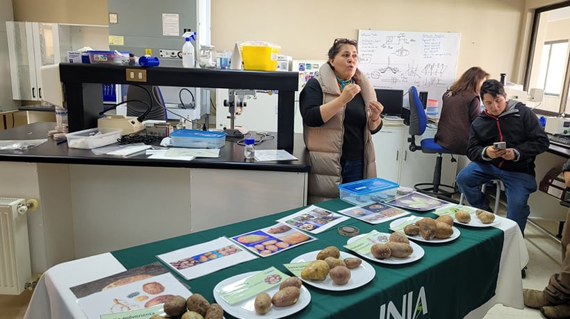 Impulsan prácticas sustentables en cultivos y hortalizas de la agricultura familiar campesina en Osorno