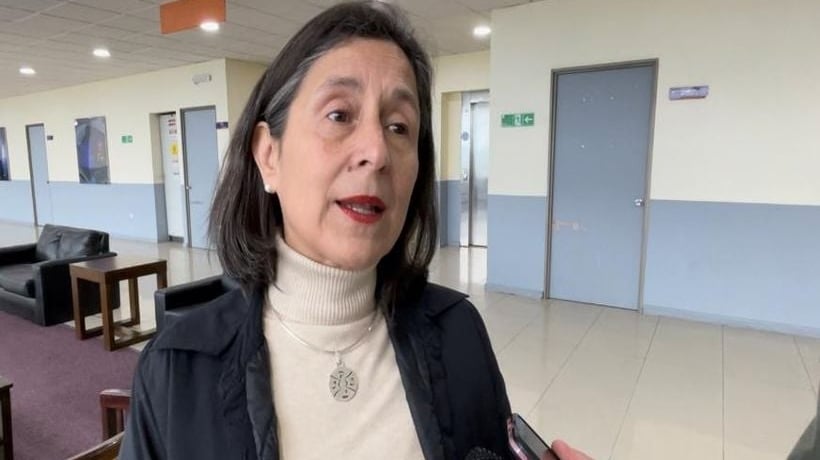 Solicitaron la renuncia a la directora titular del Daem Puerto Montt