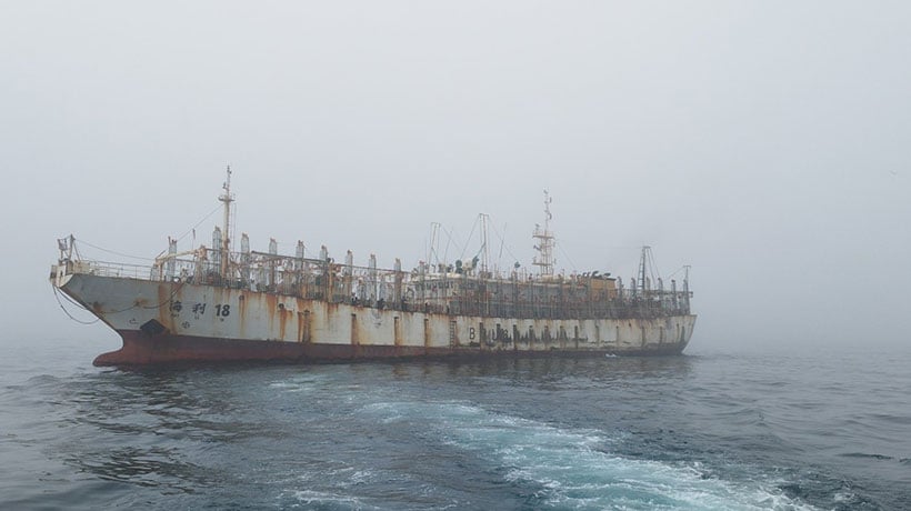 [FOTOS] Armada por flota china en aguas chilenas: “No tenemos evidencia de operaciones de pesca”