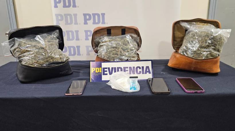 Incautaron más de 3 mil dosis de drogas que se comercializarían en el Festival de la Nalca en Lebu