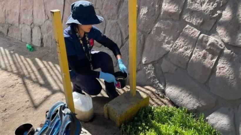 Salud instala 50 trampas en Mejillones para vigilar mosquito transmisor de Dengue y Fiebre Amarilla Salud instala 50 trampas en Mejillones para vigilar mosquito transmisor de Dengue y Fiebre Amarilla