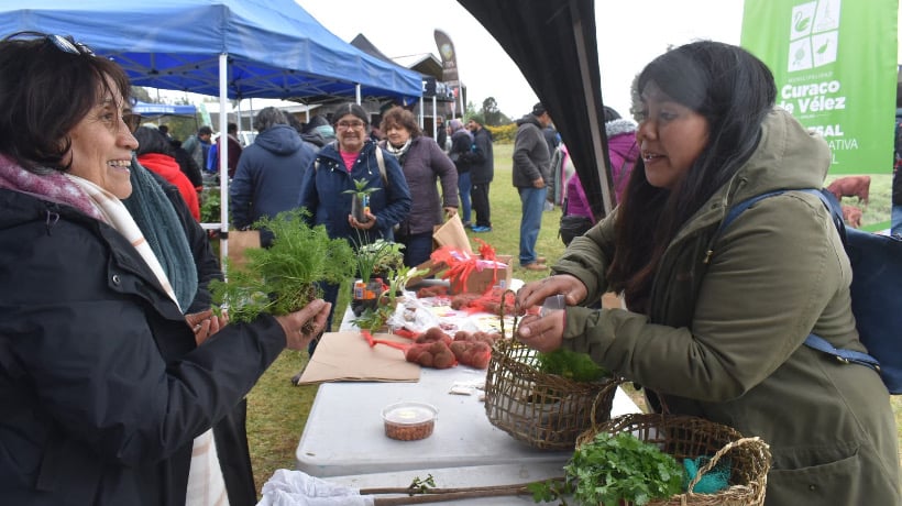 Agricultoras realizaron Trafkintu en Palqui para compartir semillas y saberes ancestrales
