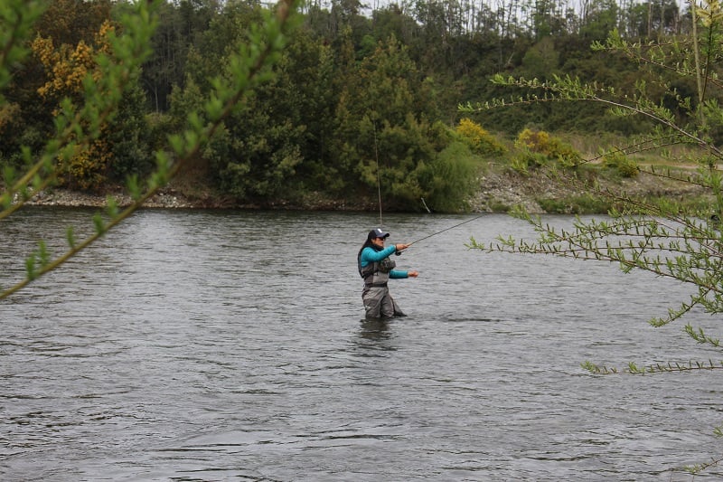Comienza la temporada de pesca recreativa en la región de Los Ríos