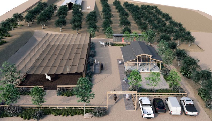 Zapallar anuncia construcción de nuevo centro de hipoterapia