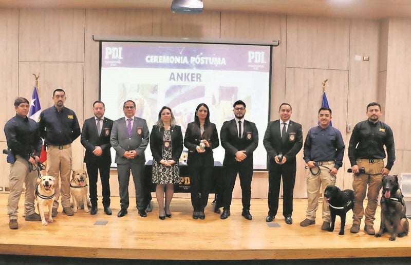 Valdivia: PDI realizó emotiva ceremonia póstuma en honor al ejemplar canino “Anker” Valdivia: PDI realizó emotiva ceremonia póstuma en honor al ejemplar canino “Anker”
