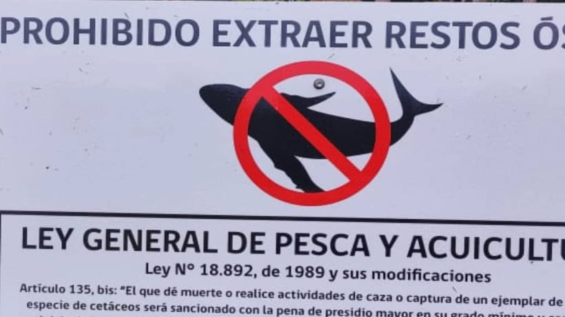 Instalan señalética sobre ley de pesca a lo largo del litoral de Chonchi Instalan señalética sobre ley de pesca a lo largo del litoral de Chonchi