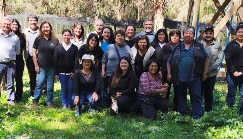 Pequeños productores apuestan por cultivo sostenible de boldo en Valparaíso