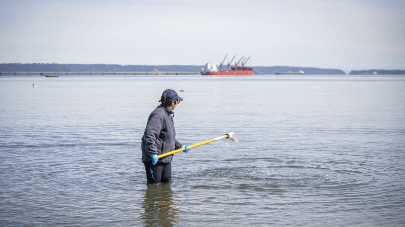 Iniciaron muestreos en aguas del borde costero del Gran Concepción: los resultados servirán para declarar playas aptas o no aptas para el baño Iniciaron muestreos en aguas del borde costero del Gran Concepción: los resultados servirán para declarar playas aptas o no aptas para el baño