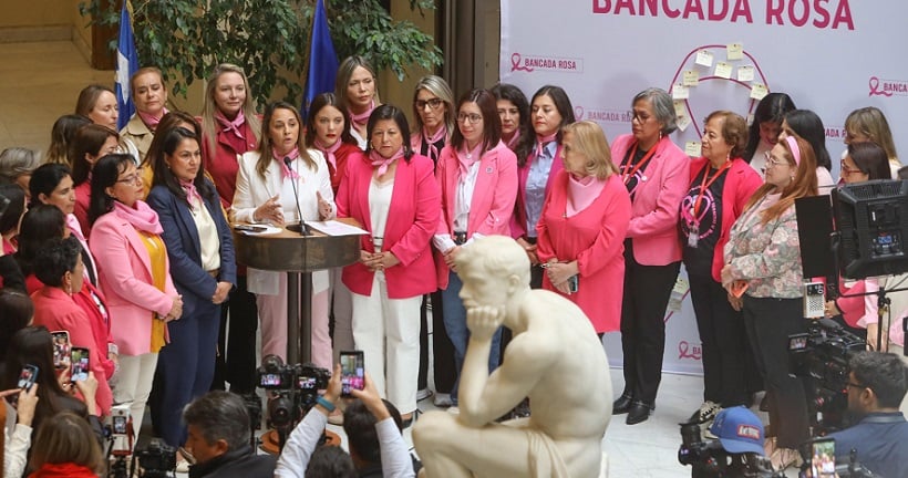 Bancada Rosa: Diputada Cid pide más equidad en acceso a tratamientos contra el cáncer en Atacama Bancada Rosa: Diputada Cid pide más equidad en acceso a tratamientos contra el cáncer en Atacama