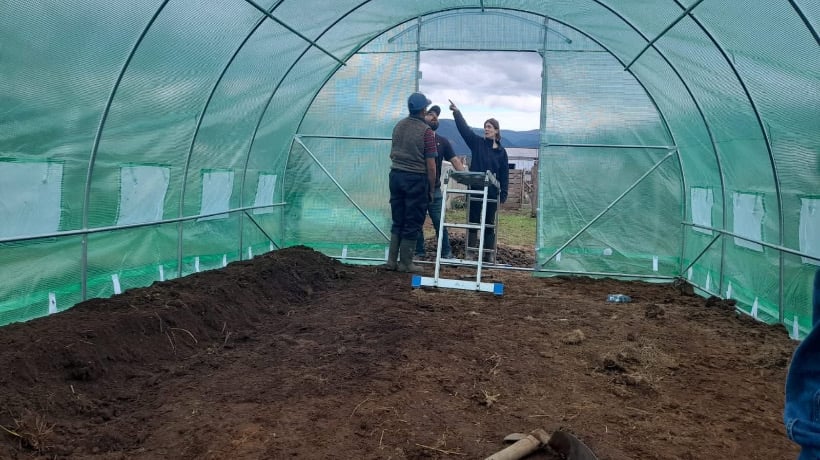 Chonchi: Usuarios de Prodesal de Curaco y Quinched participaron en la instalación de invernaderos armables Chonchi: Usuarios de Prodesal de Curaco y Quinched participaron en la instalación de invernaderos armables