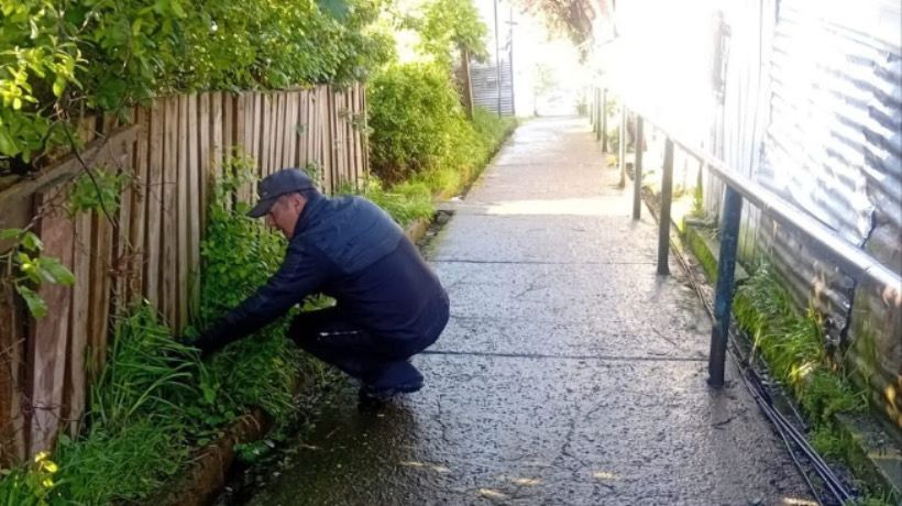 Puerto Montt refuerza limpieza y desratización en espacios públicos Puerto Montt refuerza limpieza y desratización en espacios públicos