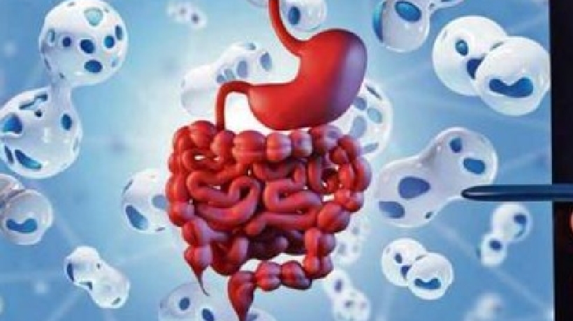 Hallan vínculo entre microbiota intestinal y la concentración Hallan vínculo entre microbiota intestinal y la concentración