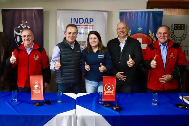 Río Bueno planifica fiesta y romper récord nacional Río Bueno planifica fiesta y romper récord nacional