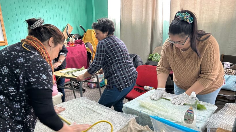Más de 15 mujeres participan en el segundo módulo del curso de fieltro avanzado en Ancud