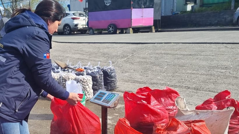 Decomisaron 1.490 kilos de recursos del mar almacenados ilegalmente en Ancud Decomisaron 1.490 kilos de recursos del mar almacenados ilegalmente en Ancud