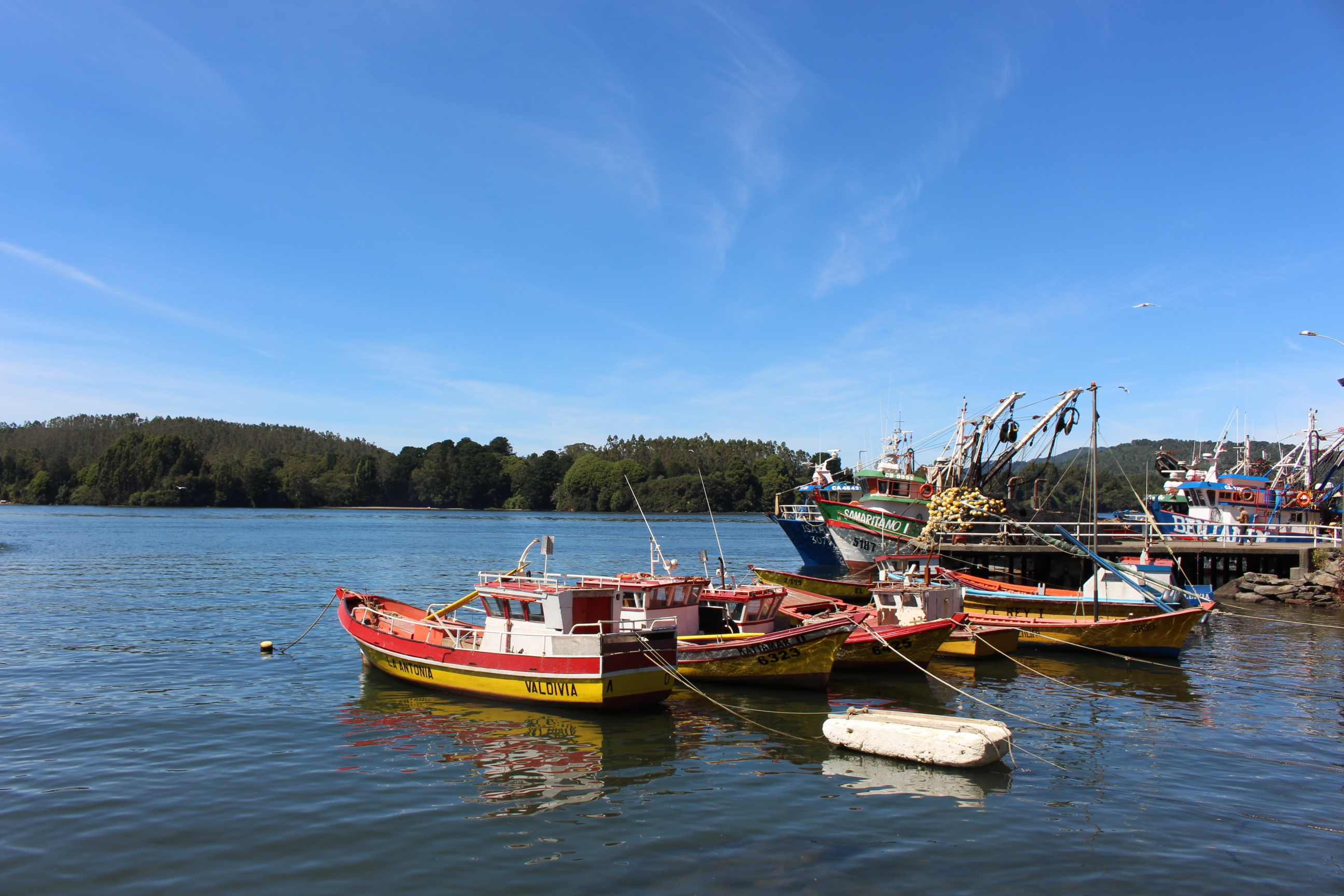 Investigan muerte de pescador de 78 años en Niebla Investigan muerte de pescador de 78 años en Niebla