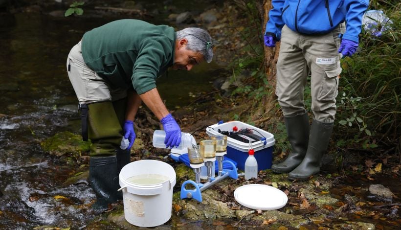 ADN ambiental: la nueva técnica que revela el rastro invisible de especies en peligro en los ríos ADN ambiental: la nueva técnica que revela el rastro invisible de especies en peligro en los ríos