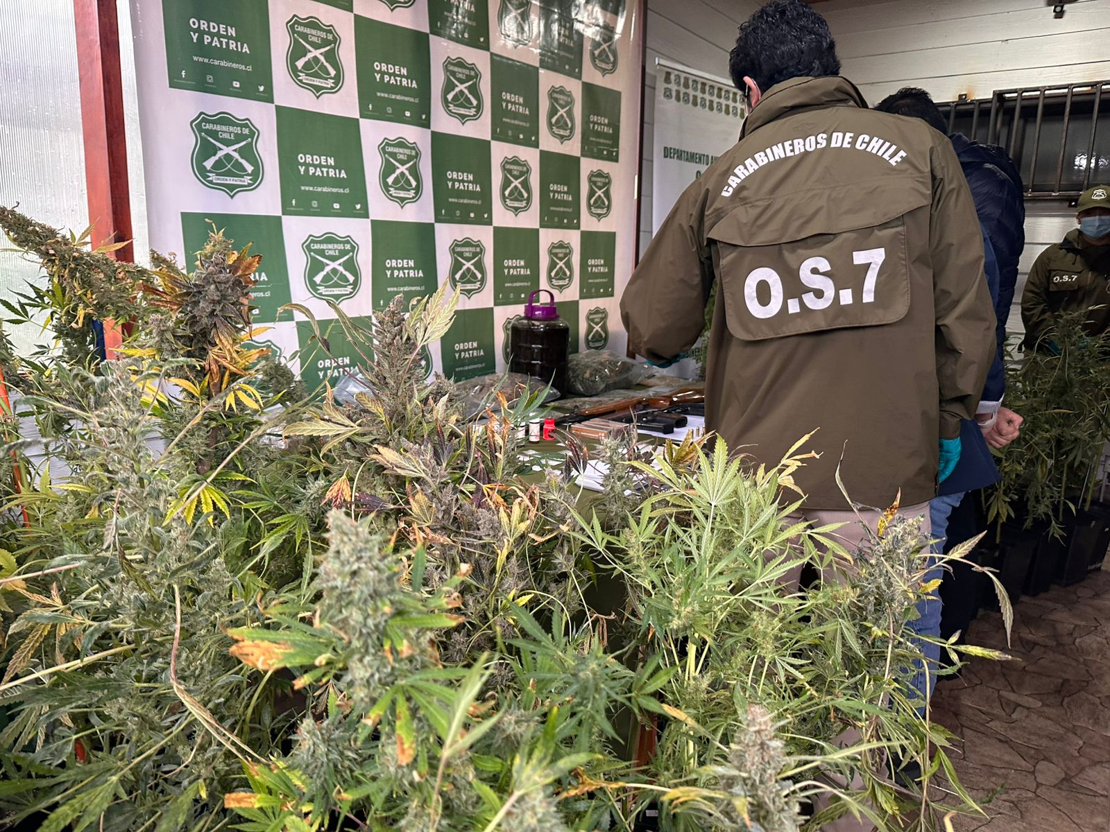 Desarticulan red criminal en Valdivia Desarticulan red criminal en Valdivia
