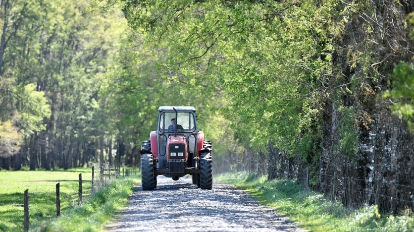 Detienen a dueño de taller mecánico en Santa María por mantener vehículos robados Detienen a dueño de taller mecánico en Santa María por mantener vehículos robados